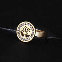 Load image into Gallery viewer, Stainless Steel Ring