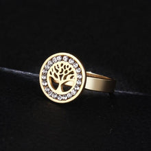 Load image into Gallery viewer, Stainless Steel Ring